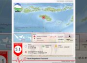 BMKG melaporkan bahwa gempa bumi dengan magnitudo 5.1 terjadi di wilayah Waibakul (BMKG/Lintas Sumba)