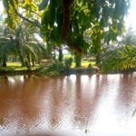 Kondisi terkini Sungai Bubon di Kabupaten Aceh Barat, Provinsi Aceh (Muhibbul Jamil/Lintas Sumba)