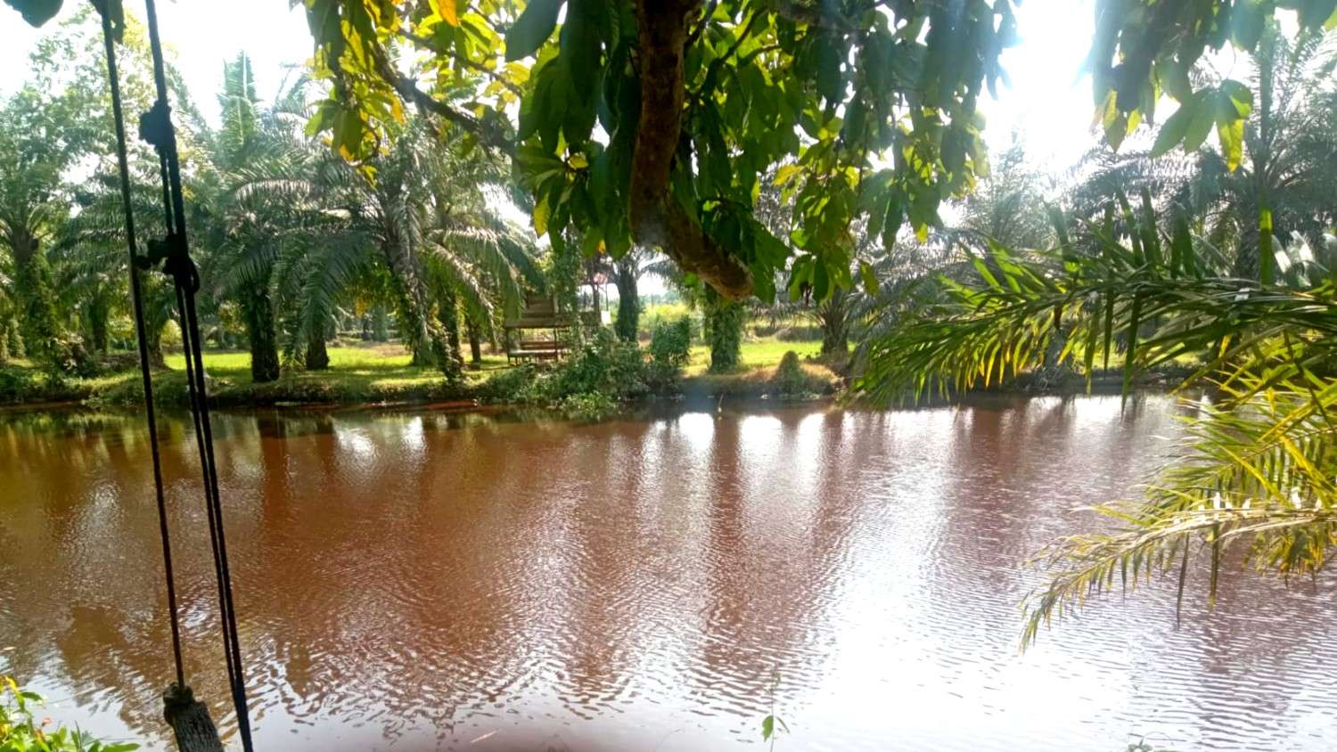 Kondisi terkini Sungai Bubon di Kabupaten Aceh Barat, Provinsi Aceh (Muhibbul Jamil/Lintas Sumba)