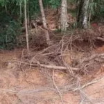WALHI NTT, Soroti, Tambang Rakyat, Wanggameti, Ruang Hidup, Masyarakat, Sumba Timur, Terancam